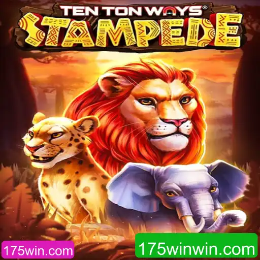 Descubra as Aventuras de TenTonWaysStampede